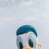 dduck112383