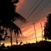 nearlylover