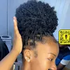 sha_bine09