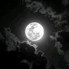 alquran_alkarim_05
