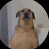 wannabemecs2
