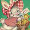 peckishbunny
