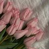 вaraaн🌷.