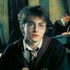 Muggle Watch Movies