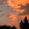 ryl33_17l