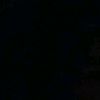 shaf_._