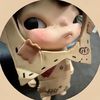 mysha7827