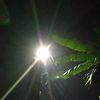sutt_126