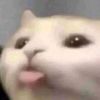 fybern