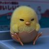 chocotaro.017
