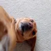 matildalovesj20