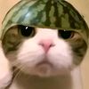 julidualima_
