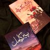 zainabqureshi630