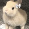 cutiepie0o0o
