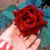 m.awais1475