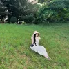 thuylinh.1234567