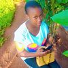 elizabethemanuel78