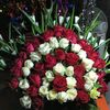 user3011739140656