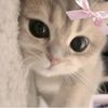 seeeemy_