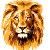 king_of_punjab_23