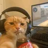 Ace_Dumb