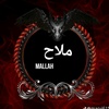 ali.mallah217