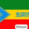 abdulmanan.dafis