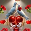 kk.baloch767