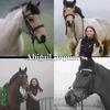 .abigail_equine