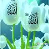 user1248293366734