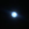 sw333tur