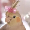 simona_9335