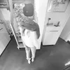 lena_l50