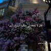 sama40357