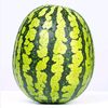 watermelon44654