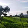 larashawakh2024.com