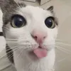 flrtygoldygold1