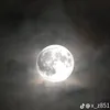 gki_vo
