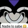 nadie_lo_sab3