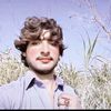 saleem.wanis