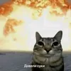 ._malik7