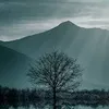 user9490515919670