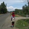 andigacorr