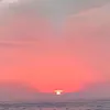 tiktok722