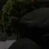 damkzzz