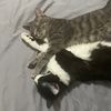 stormiandlunasadventures