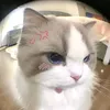 phuong.yen_10