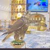 user40631538190574