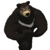 puliotbabulina