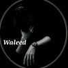waleed.faisal4